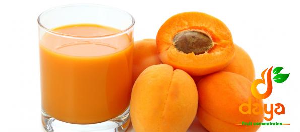 Nutritional Breakdown of Natural Apricot Concentrate