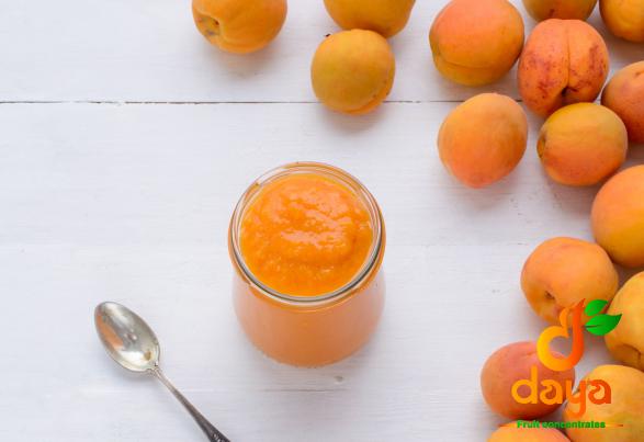 Hot Sale of Sweet Apricot Concentrate