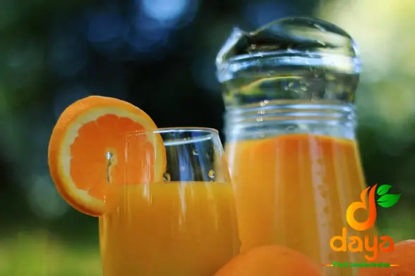 Top Wholesaler of Orange Concentrate Juice with the Most Customer Retention