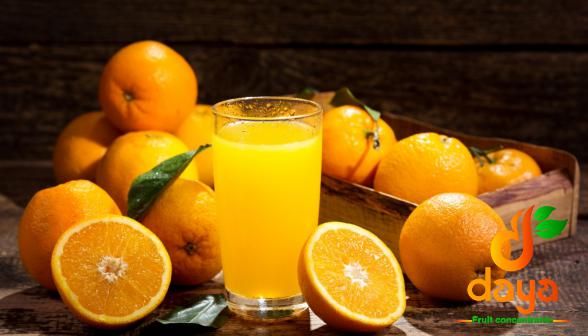 Rich Supply Source of Concentrated Orange Juice in the Global Market
