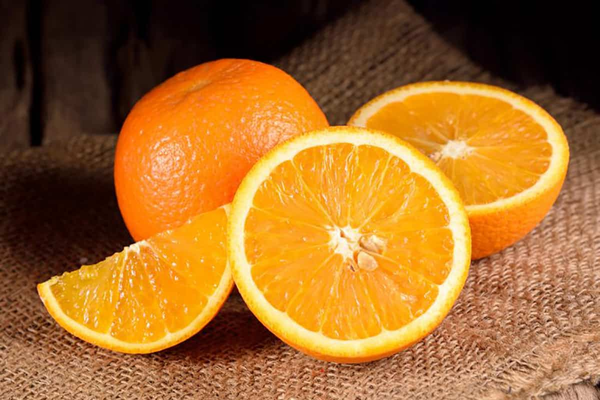  Navel Orange price 