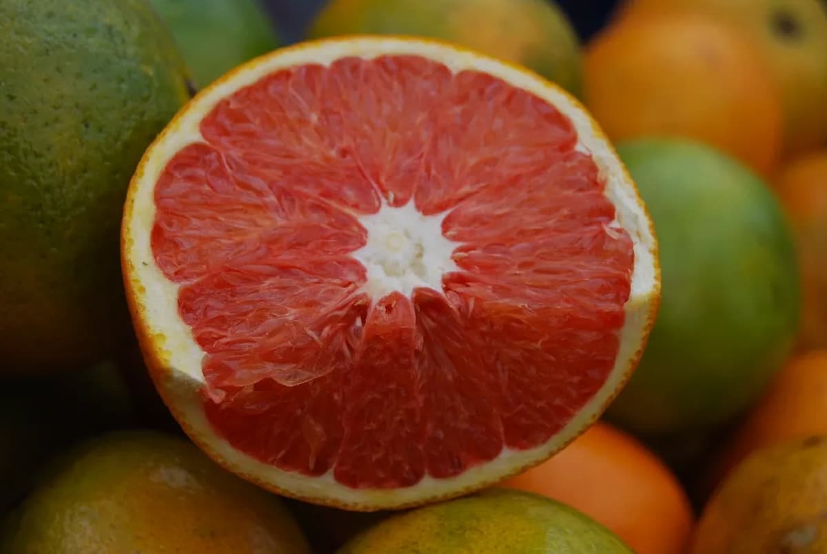  Cara Cara Orange Price per Pound 