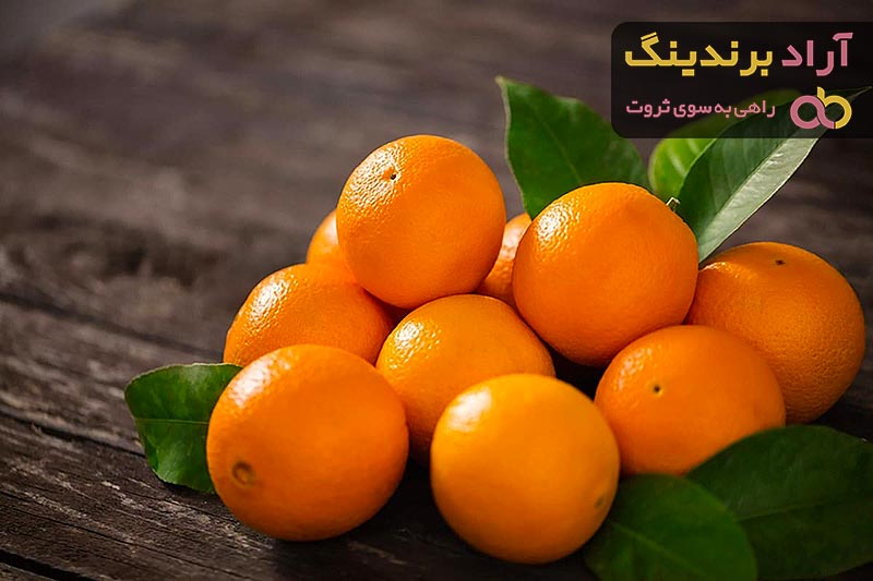  Navel Orange Price Malaysia 