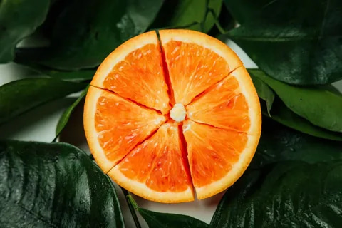  Navel Orange Price in USA 