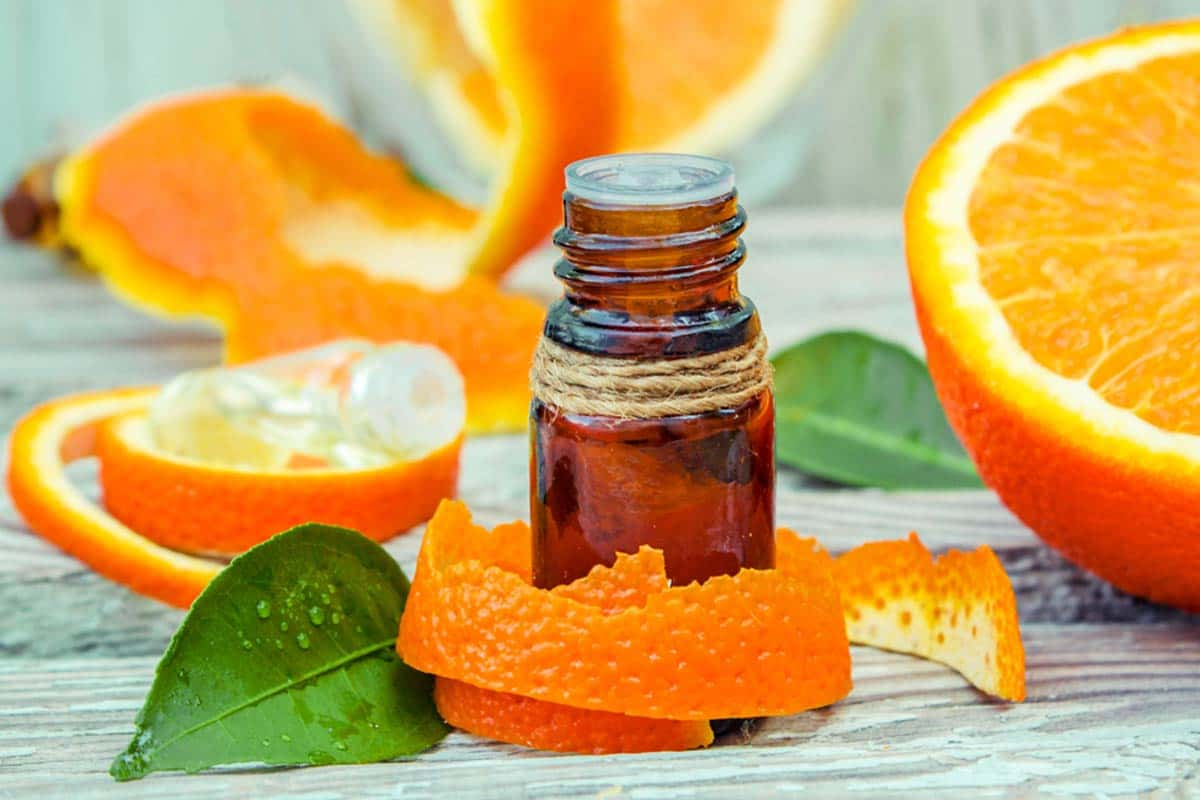  Orange Peel Extract; Bitter Sour Taste Vitamin C Source 