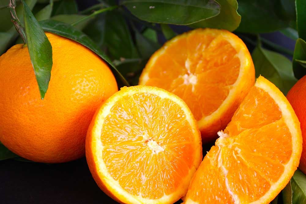  Buy Fresh Valencia orange + great price 