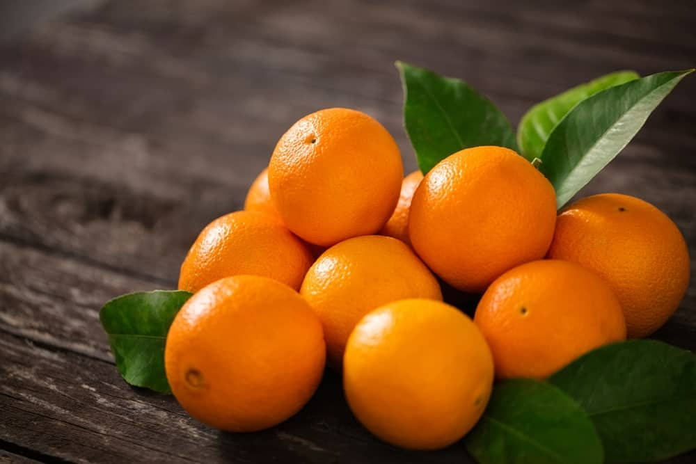  navel orange wholesale price 