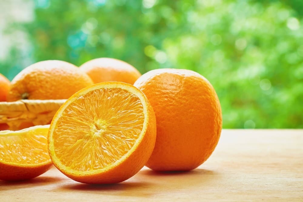  navel orange wholesale price 