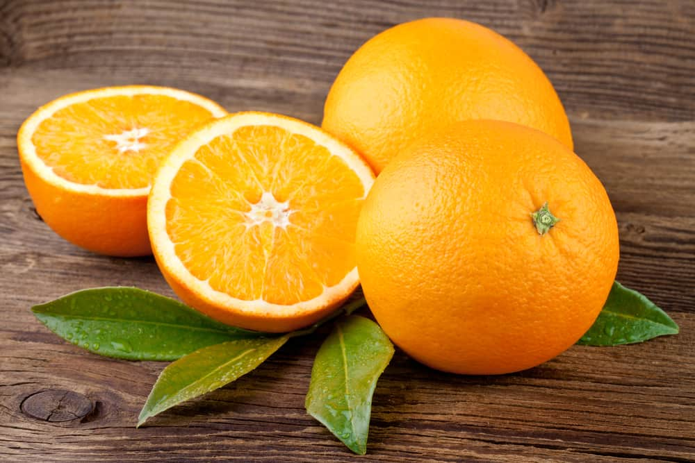  navel orange wholesale price 