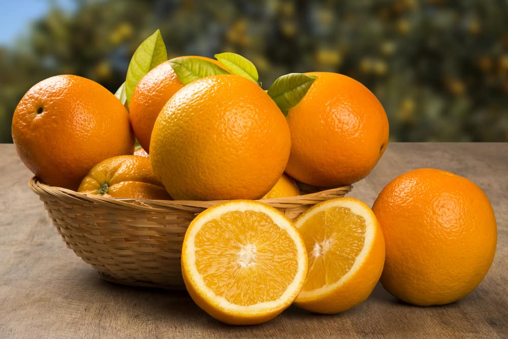  navel orange wholesale price 