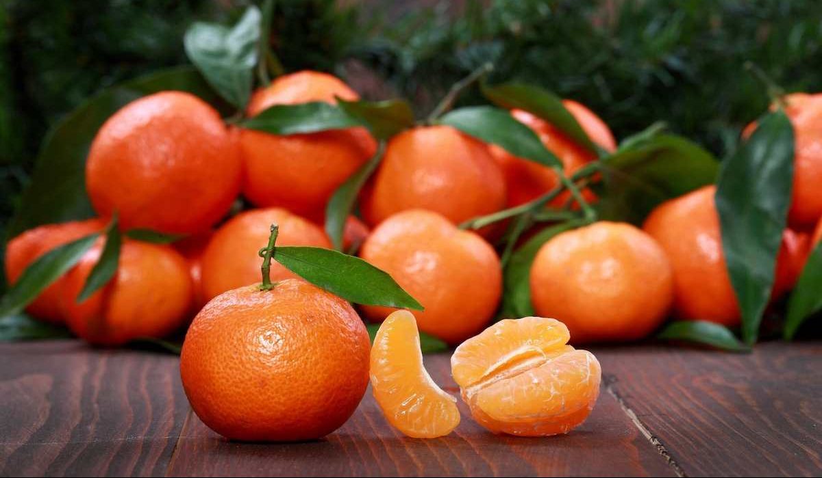  Buy Mandarin Oranges | Selling with Reasonable Prices 