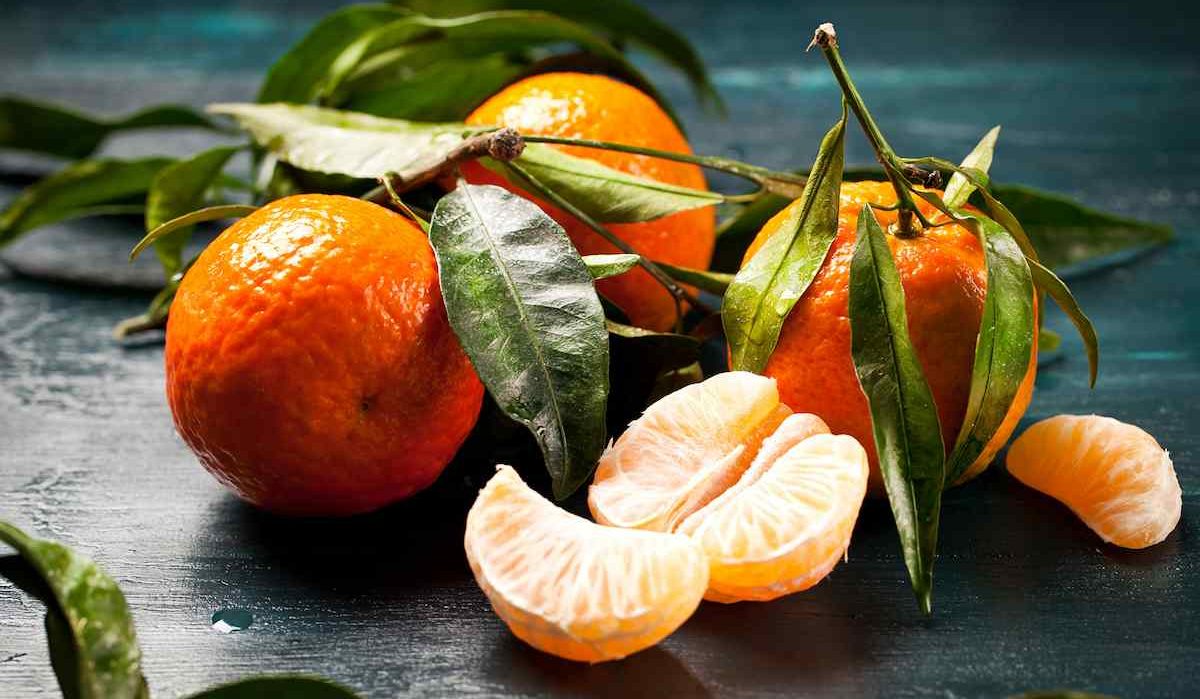  Buy Mandarin Oranges | Selling with Reasonable Prices 