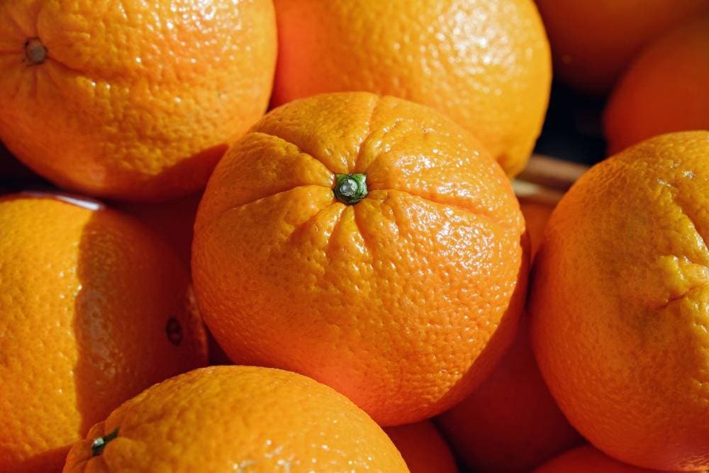  what is navel orange + purchase price of navel orange 