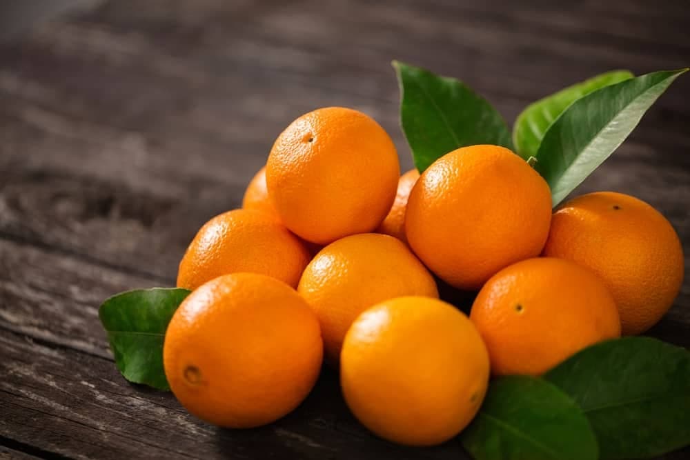  what is navel orange + purchase price of navel orange 