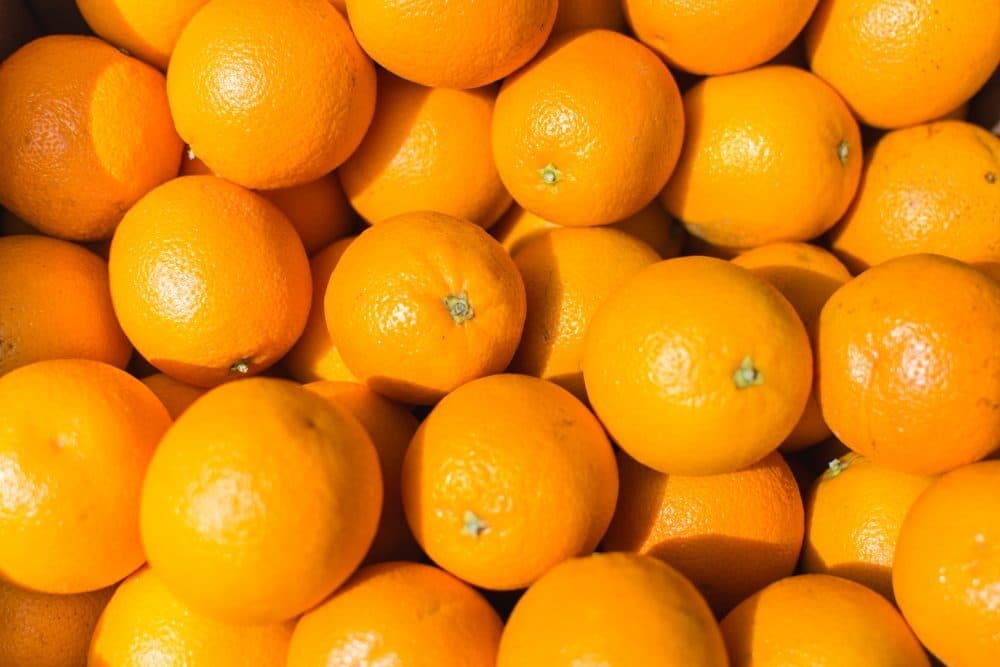  what is navel orange + purchase price of navel orange 