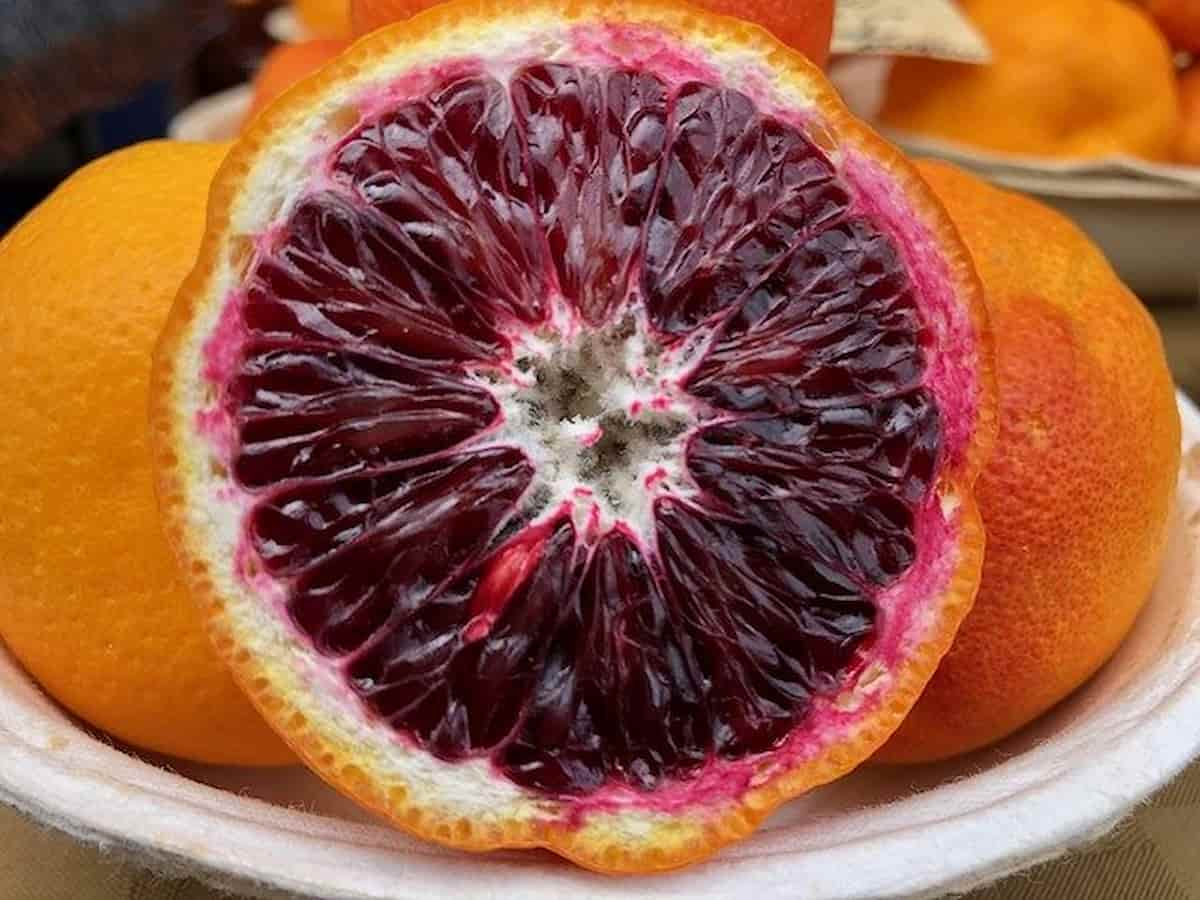  Blood Orange Per Pound; Raspberry Like Tasting Contains Anthocyanin Treating Heart Problems 