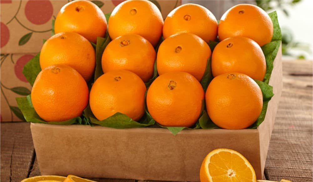  Purchase And Day Price of Fresh Valencia Oranges 