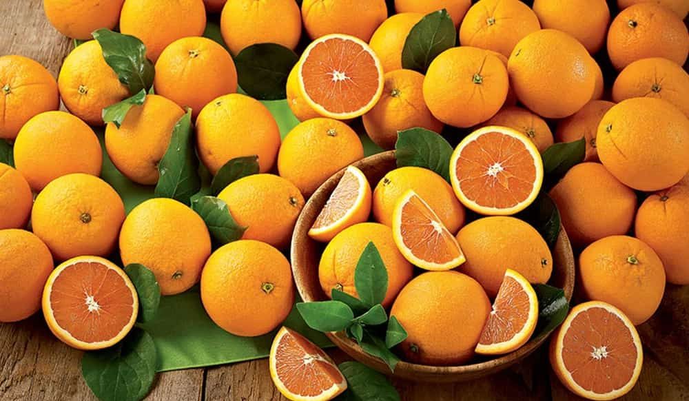  Purchase And Day Price of Fresh Valencia Oranges 